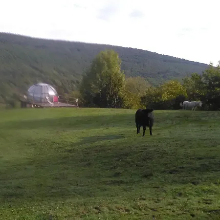 Ferme Des Baillards *