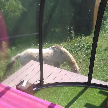 Ferme Des Baillards ラグジュアリーテント *